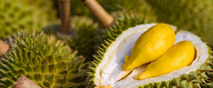 THE DURIAN RESPONSE